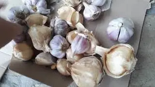НУ НАСМЕШИЛ САНЕК ТАК НАСМЕШИЛ