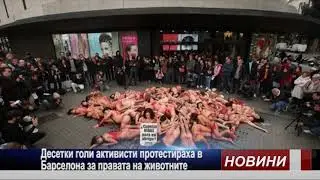 Активистите за правата на животните се разголиха в протест