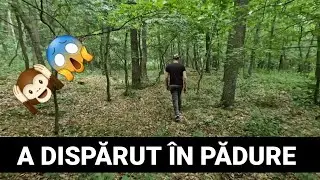 A dispărut în pădure!! Un abonat de la Căsuța din padure e de negăsit!!