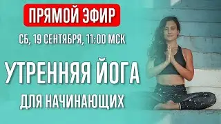 Morning Yoga for Beginners | Yoga Live | Yoga with Katrin | Live Stream