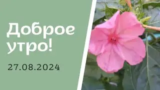 Доброе утро! 27.08.2024