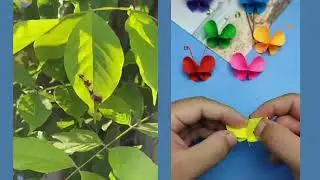 бабочки в технике оригами, 2 простые и интересные поделки