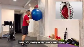 Жим Лопаткой + Жим Вверх