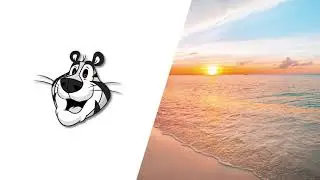 Tropical Guitar Type Instrumental 