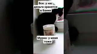 мем