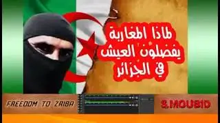 Marocain explique pourquoi la vie est meilleure en Algérie
