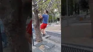 Pull ups on a tree