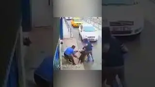 Кангал напал на питбуля #dogs