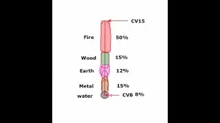 Hara diagnosis and 5 element zones