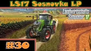 LS17 Sosnovka #30 - Striegeln