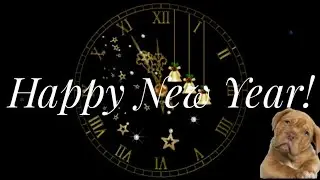 С наступающим Новым 2018 годом!