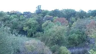 Outdoor/Nature Sounds To Help You Sleep and Fight Insomnia - Autonomous Sensory Meridian Response