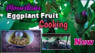 Eggplant 🍆 || cooking with mountain 🏔️ for the items super......