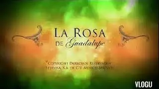 Fase xd yisus oficialll