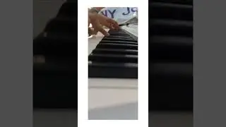 Bollywood Instrumental