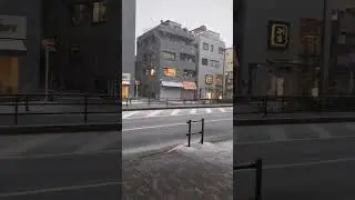 it's snowing... kinda