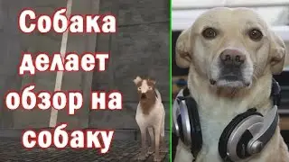 ШарДроид - Обзор игры Little Barker - Kudryavka (выпуск 1)