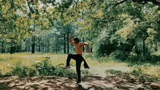 Муай Боран (Онг Бак комплекс от Тони Джа) #онгбак #тайскийбокс #ongbak #tonyjaa #youtube #2024
