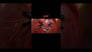 The Battle Of The Body Parts | Gacha Life Reacts To