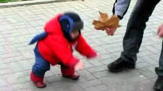 первые шаги