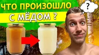 Мед может ПОМЕНЯТЬ ЦВЕТ ? Как должен кристаллизоваться натуральный мед и что на это влияет ?