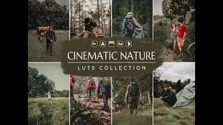 Cinematic Nature LUT- Cinematic LUT- Nature LUT- Video Preset- VN LUT- Cinematic LUT Premiere Pro