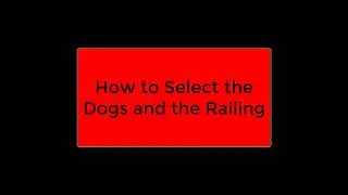 Dog Select