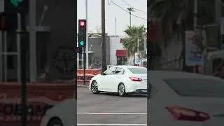 Phoenix Hood