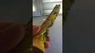 резьба по тыкве капак ручной работы, уйгурском национальном ковшике.