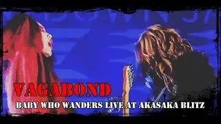VAGABOND -  DECAYS  (Baby who wanders Live at Akasaka BLITZ) - Letra e Tradução PT-BR