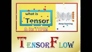 what are tensors & its types in TensorFlow