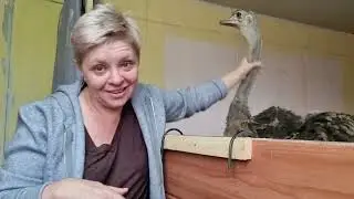 20 марта 2024 г.