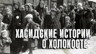 Хасидские истории о Холокосте | Раввин Михаил Финкель