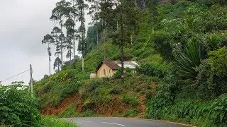 Нувара Элия (Nuwara Elia) - дорога