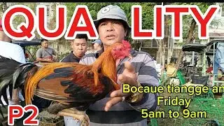 MAGAGANDA QUALITY MANOK SA BOCAUE BULACANTIANGGEAN (MEDYO PRICEY LNG) #bakwittv