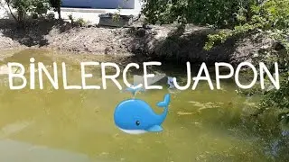 ORANDO JAPONLARIMIZDAN SON DURUM