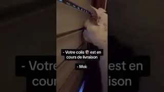 Quand t’es chez toi à guetter le livreur Amazon toute la journée @amazon