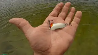 Easy Way To Catch Loads Of Saltwater Fish