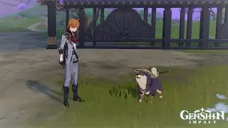 Childe's New Friend [Genshin Impact]