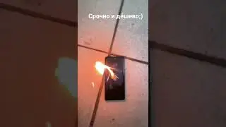 Срочно и бесплатно