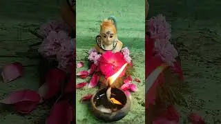 #mahadev #shivshankar