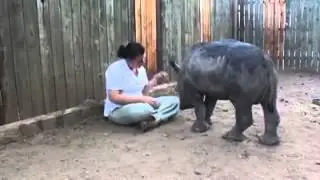 Yes, Animals Have Feelings