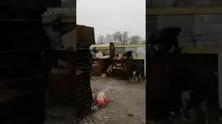 когда выносишь мусор не в свой мусорный бак 🤣😂