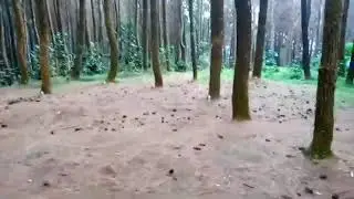 Penembak Ketapel Cewek Bandung
