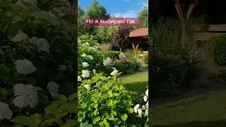 Как мог бы выглядеть мой сад, если бы я не была дизайнером? #garden #дача #сад