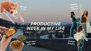 WEEK IN MY LIFE☃️ dog’s FIRST snow trip, finding a healthy work-life balance & beating burnout