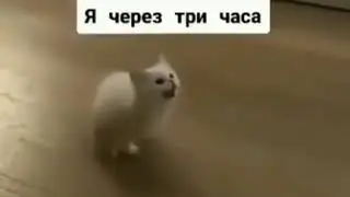 16 июня 2020 г.