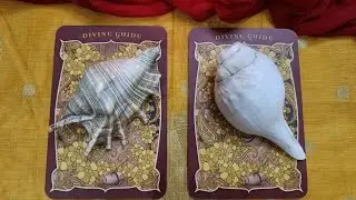 New Year & Year End ☮️🕊️🕉️🙏
