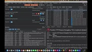 Burp Extension Mini series | HTTP Request Smuggler | Bug Bounty Service LLC