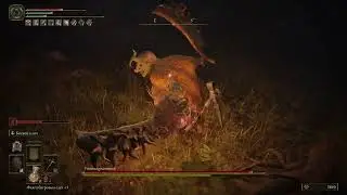 Elden Ring Reforged - Убийца знамений - Мастер режим